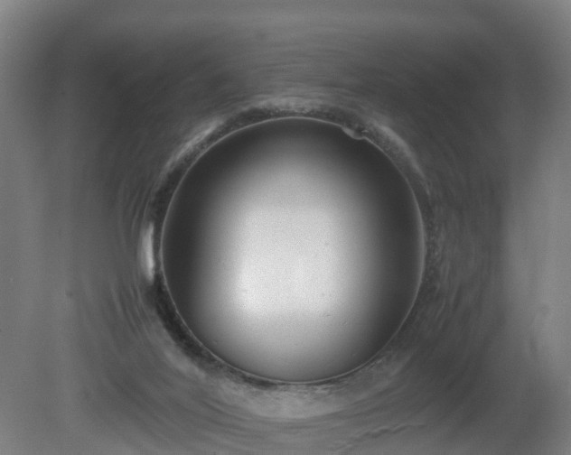 X0000081430020200701191634