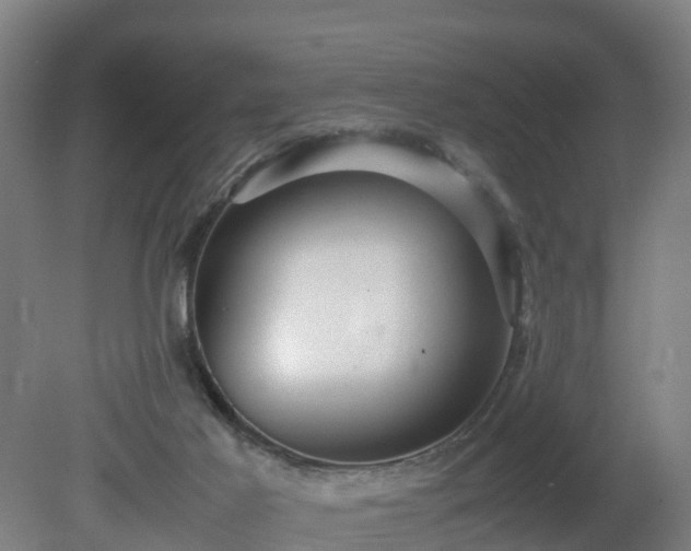 X0000081430021200701191634