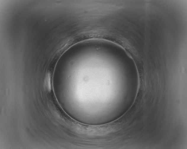 X0000081430022200701191634