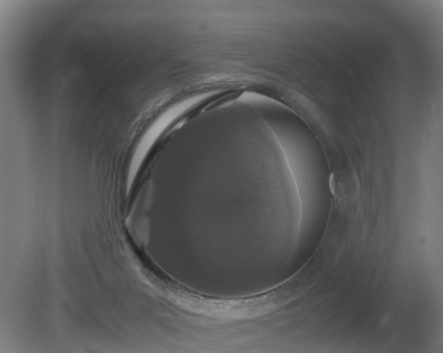 X0000081430023200701191633