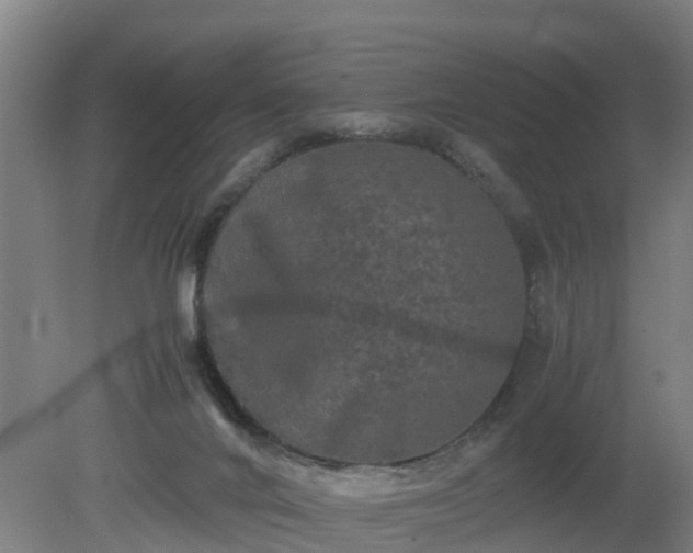 X0000081430024200701191633