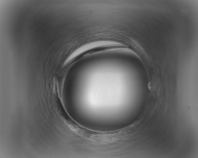 X0000081430025200701191633