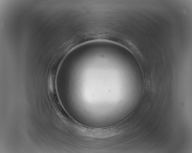 X0000081430026200701191633