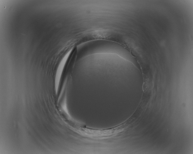 X0000081430027200701191633