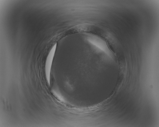 X0000081430029200701191633