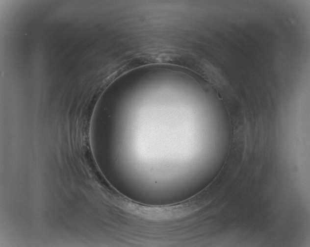 X0000081430030200701191633