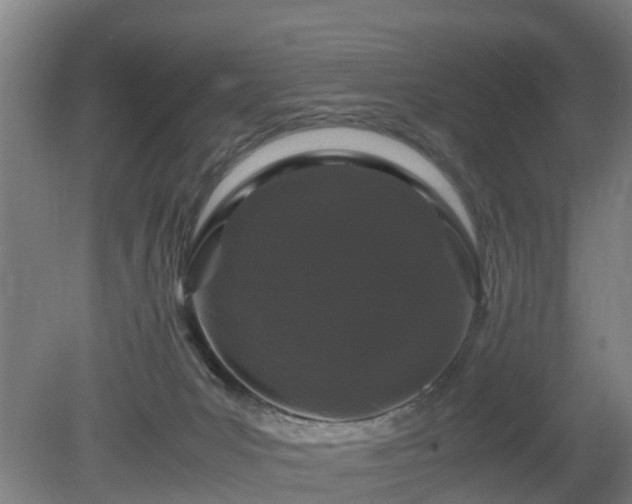 X0000081430031200701191633