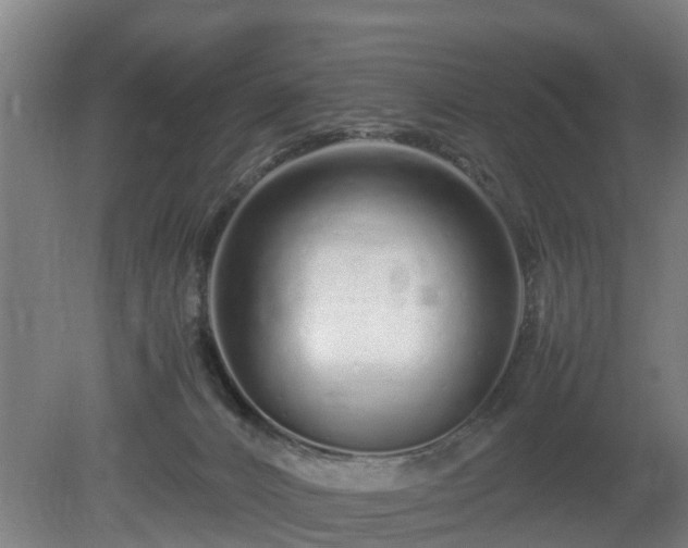 X0000081430032200701191633