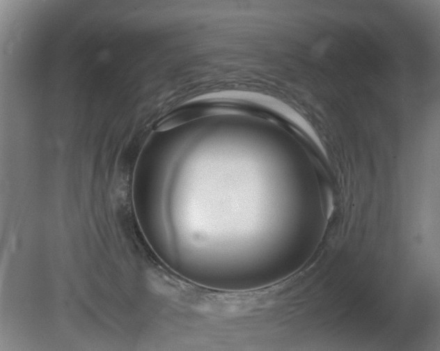 X0000081430033200701191633