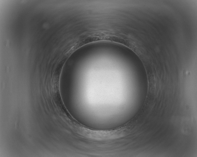 X0000081430034200701191633