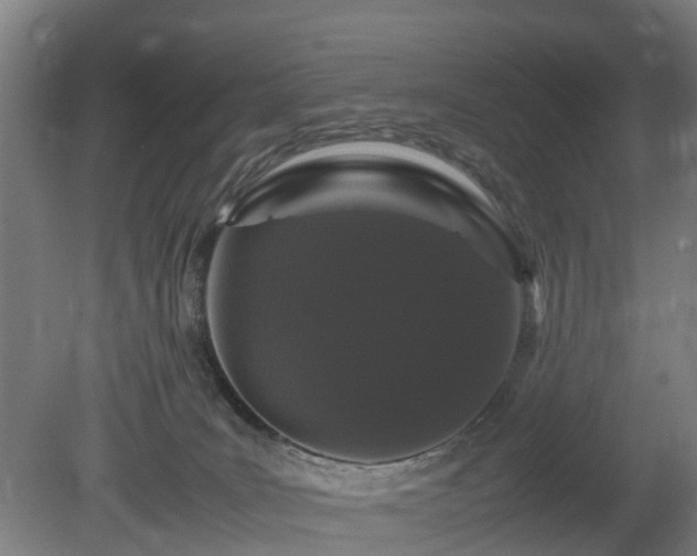 X0000081430035200701191633