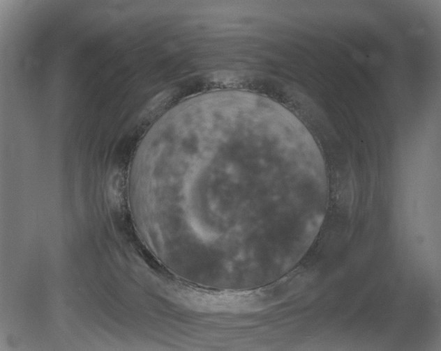 X0000081430036200701191633