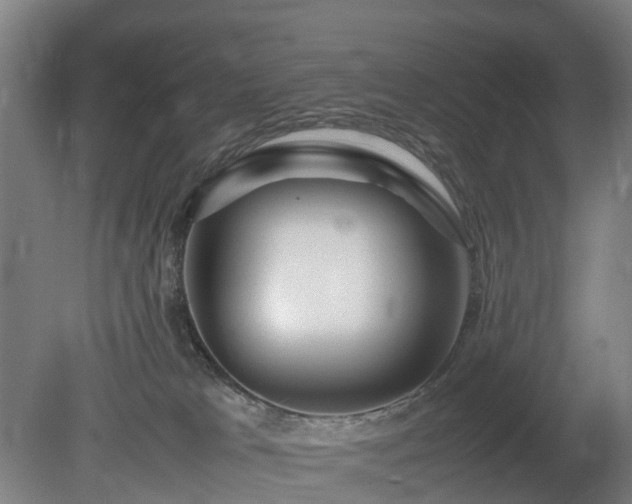 X0000081430037200701191633