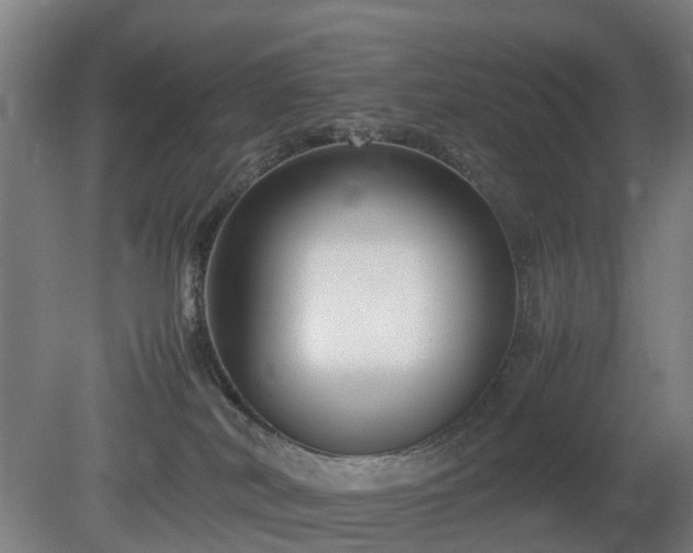 X0000081430038200701191633