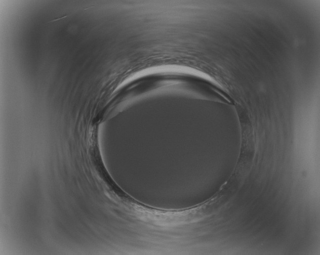 X0000081430039200701191633