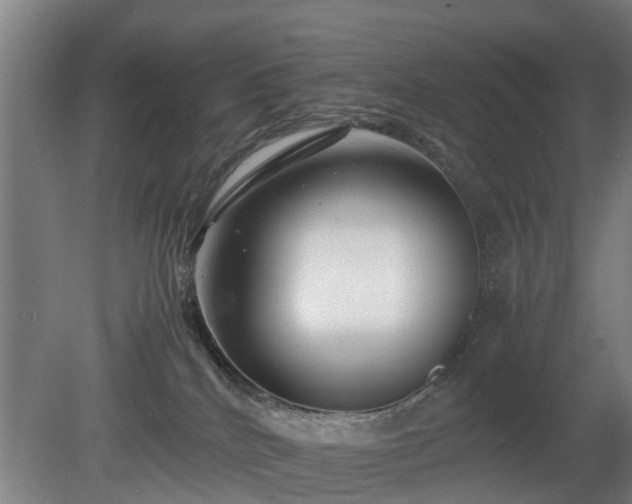 X0000081430040200701191633