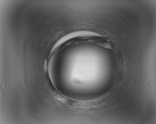 X0000081430041200701191633