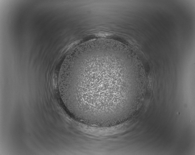 X0000081430043200701191633