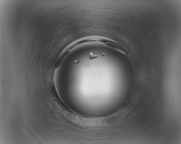 X0000081430044200701191633