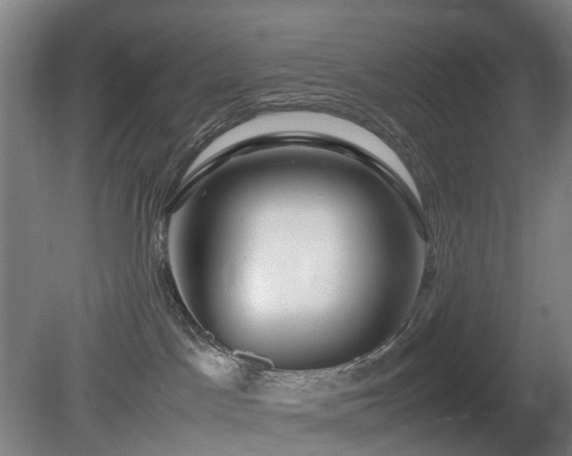 X0000081430045200701191633