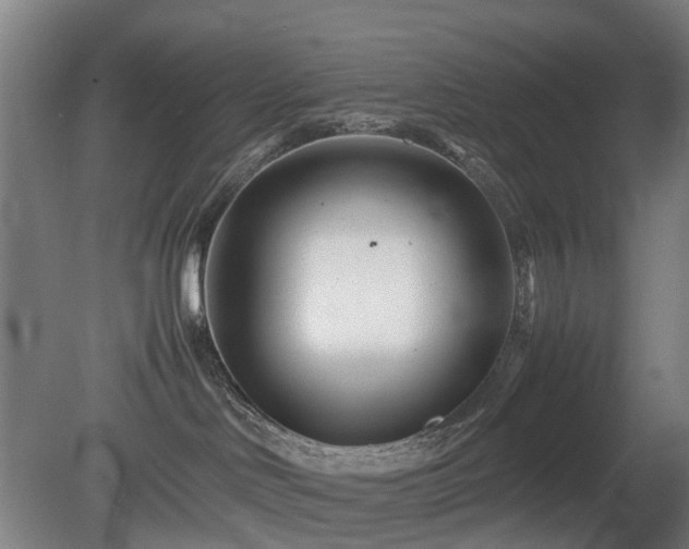 X0000081430046200701191633