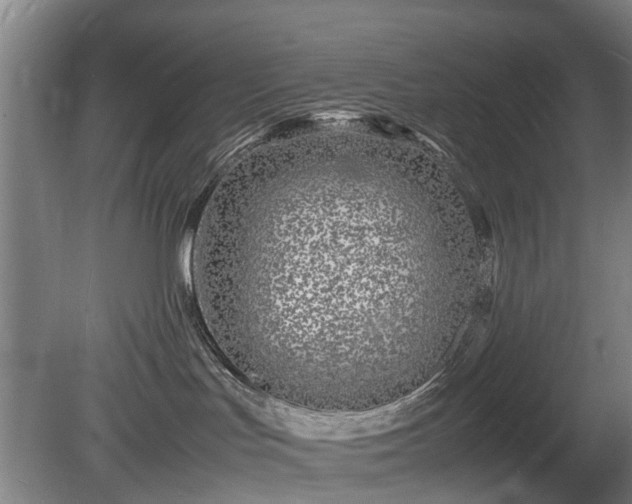 X0000081430047200701191633