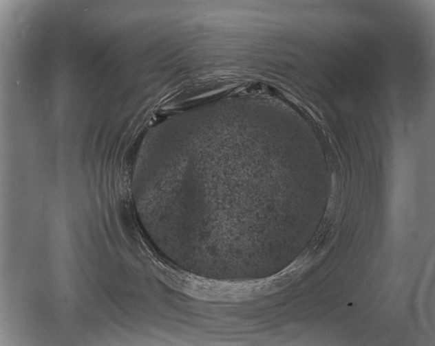 X0000081430048200701191633