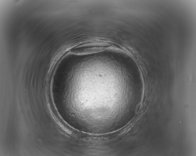 X0000081430049200701191632