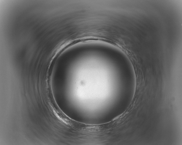 X0000081430050200701191632