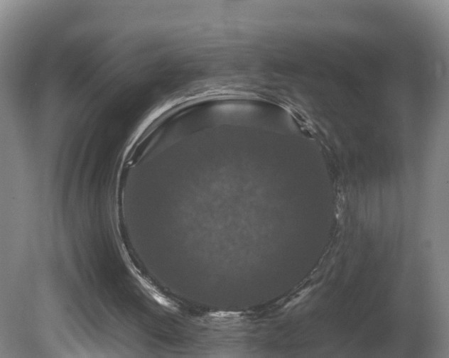 X0000081430052200701191632