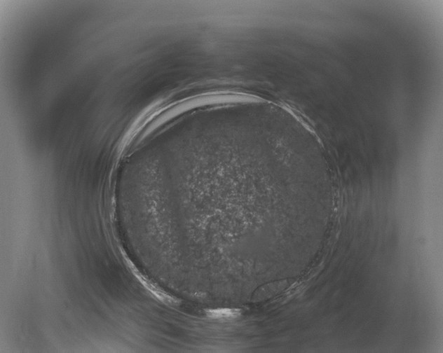 X0000081430053200701191632