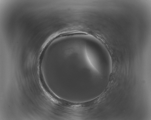 X0000081430054200701191632