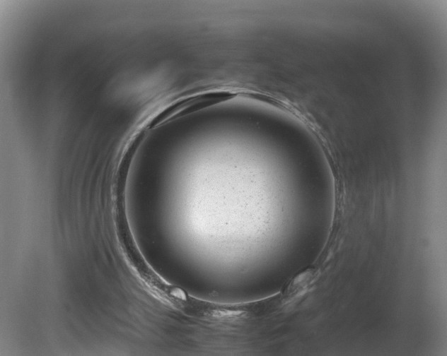 X0000081430055200701191632