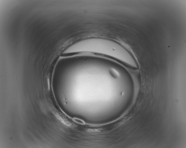 X0000081430061200701191632