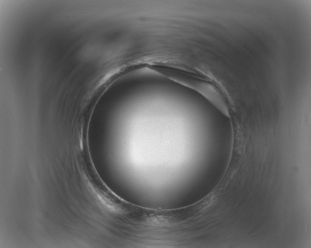 X0000081430062200701191632