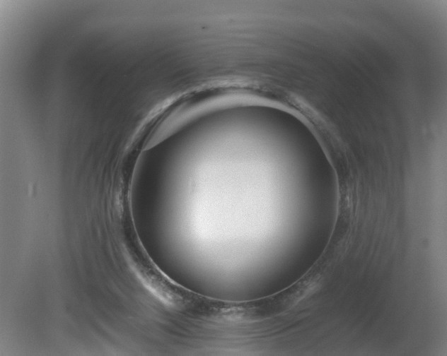 X0000081430064200701191633