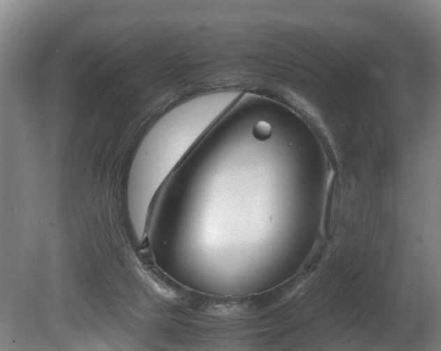 X0000081430065200701191633