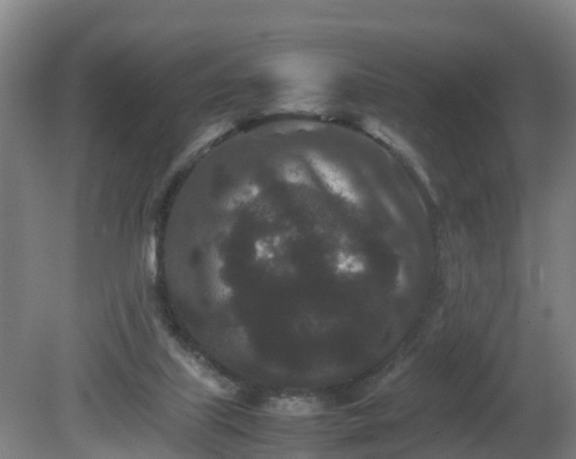 X0000081430067200701191633