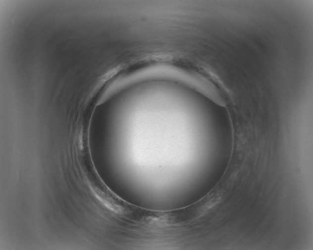 X0000081430068200701191633