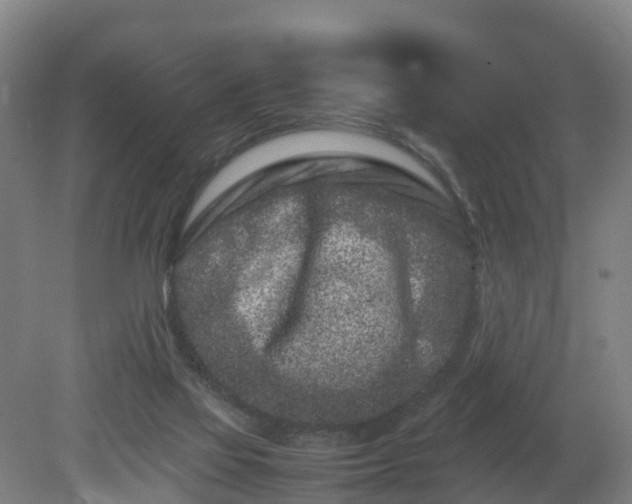 X0000081430069200701191633