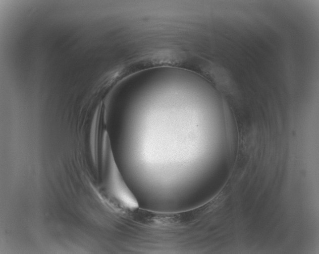 X0000081430070200701191633