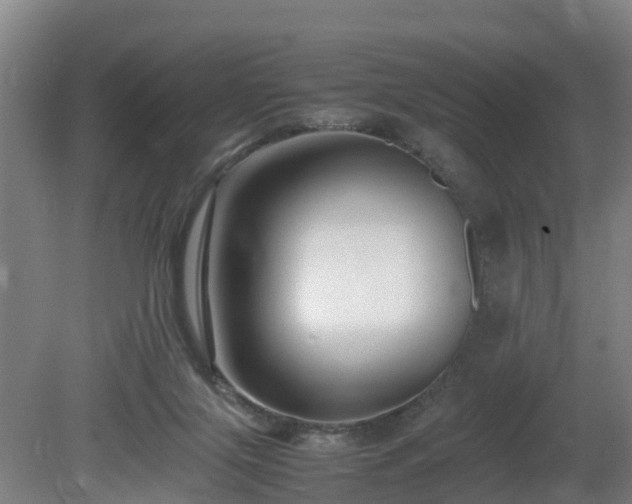 X0000081430071200701191633