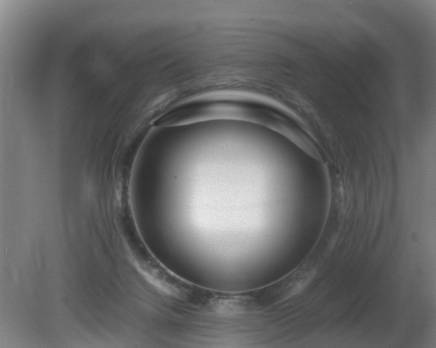 X0000081430072200701191633