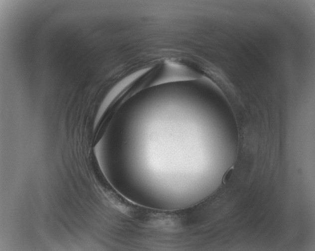 X0000081430073200701191633