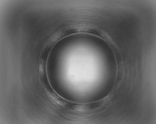 X0000081430074200701191633