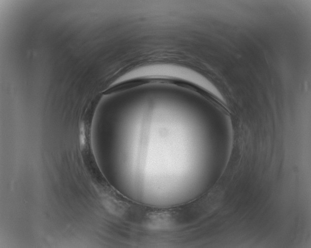 X0000081430075200701191633