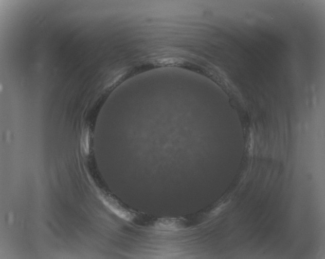 X0000081430076200701191633