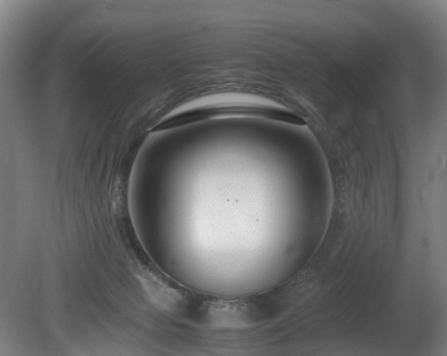 X0000081430077200701191633