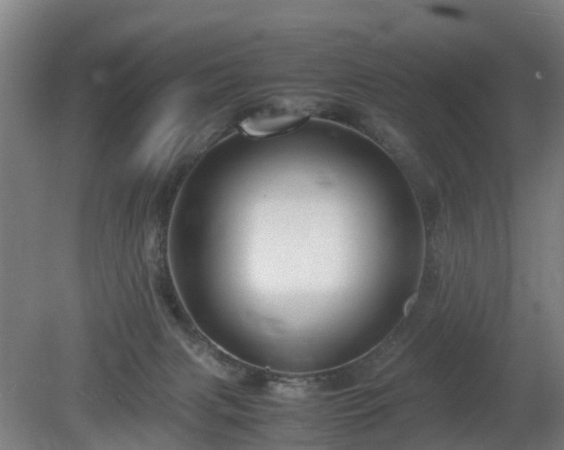 X0000081430079200701191633