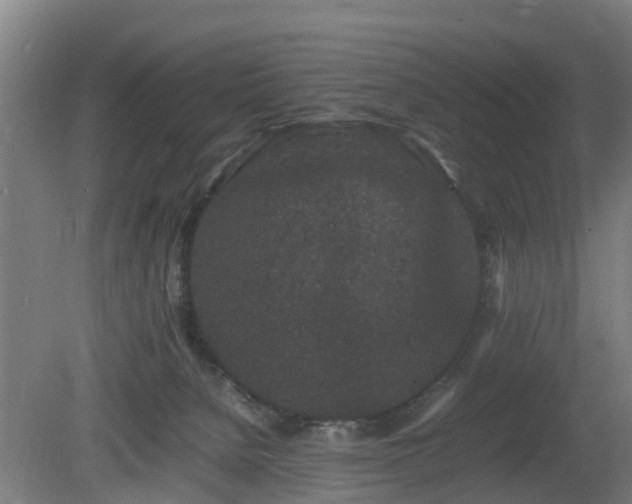 X0000081430080200701191633